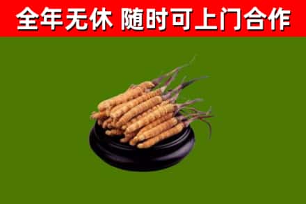 兴庆区烟酒回收冬虫夏草.jpg